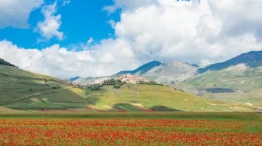le maracla territorio